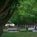 thema kunst, ArtZuid - Klaas Gubbels-